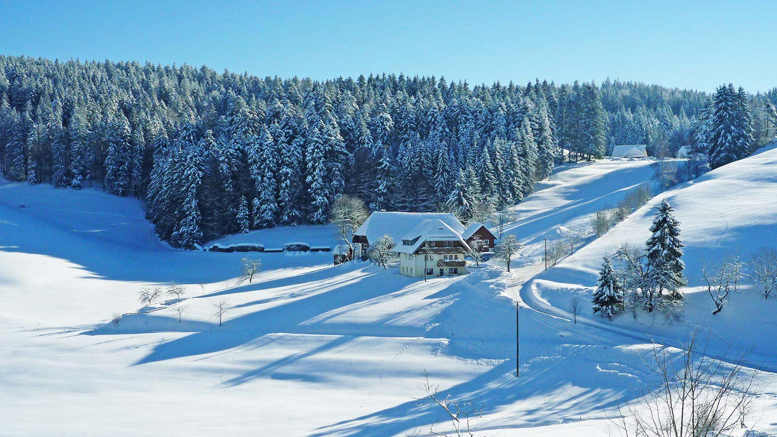 Urlaub auf dem Bauernhof MOOSHOF St Märgen Schwarzwald