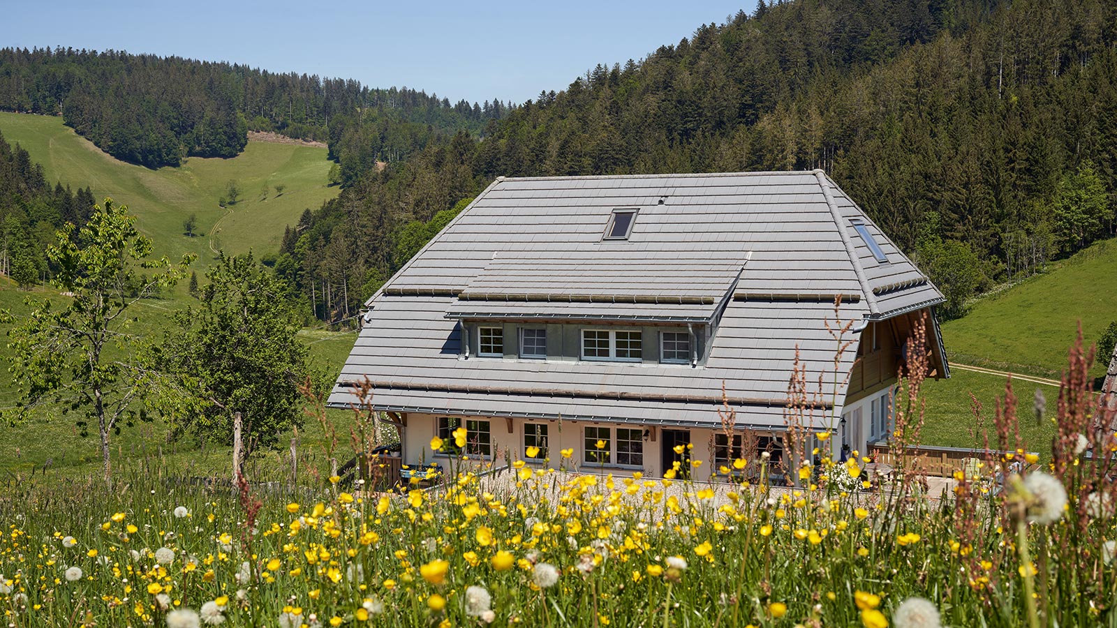 Urlaub auf dem Bauernhof MOOSHOF St Märgen Schwarzwald